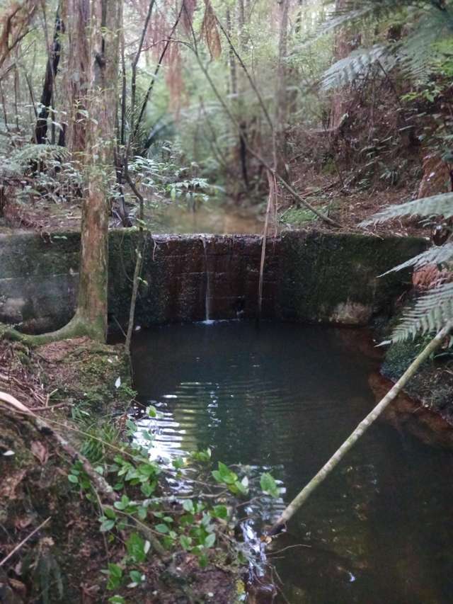 41 Pinehill Road Pakaraka_3