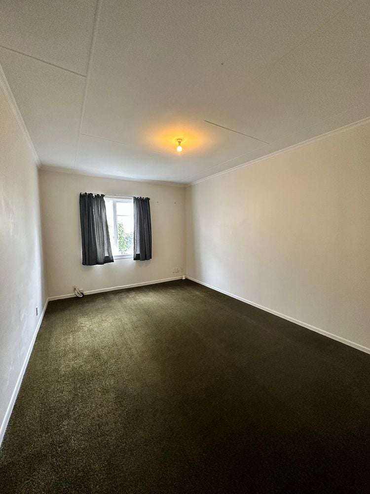 191 Carroll Street Dunedin Central_8