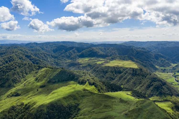 1221 Waitewhena Road Taumarunui_16