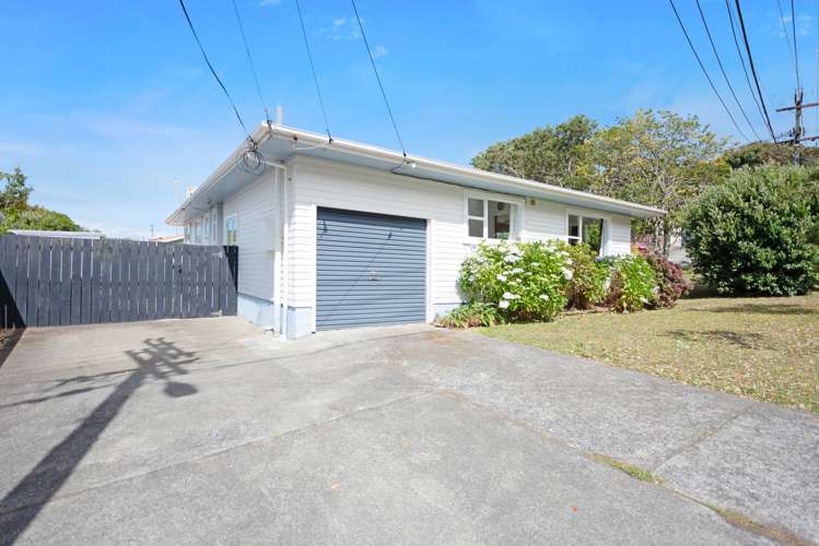20 Elliott Street Johnsonville_15