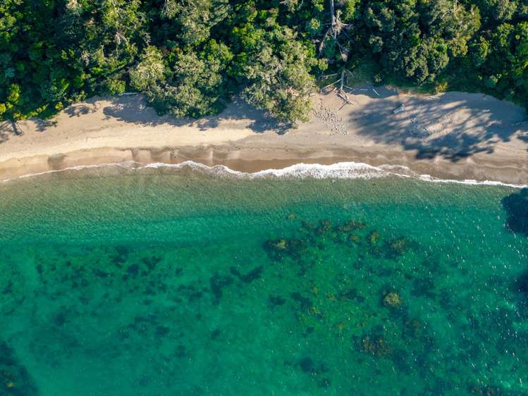 Share 2 Moturoa Island Russell_9