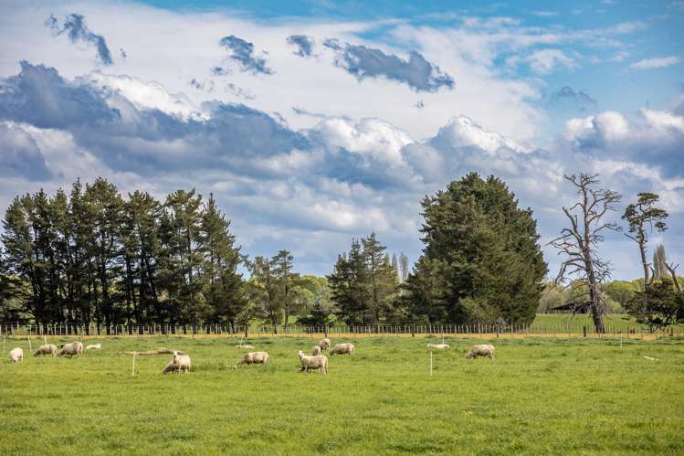 162 Taylor Road Ongaonga_9