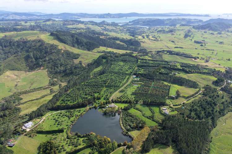 121C Purangi Road Whenuakite_10