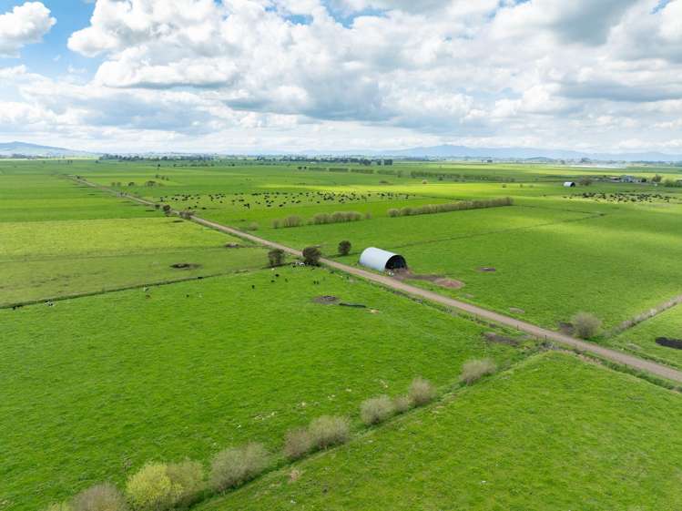 1001 Piako Road Gordonton_5