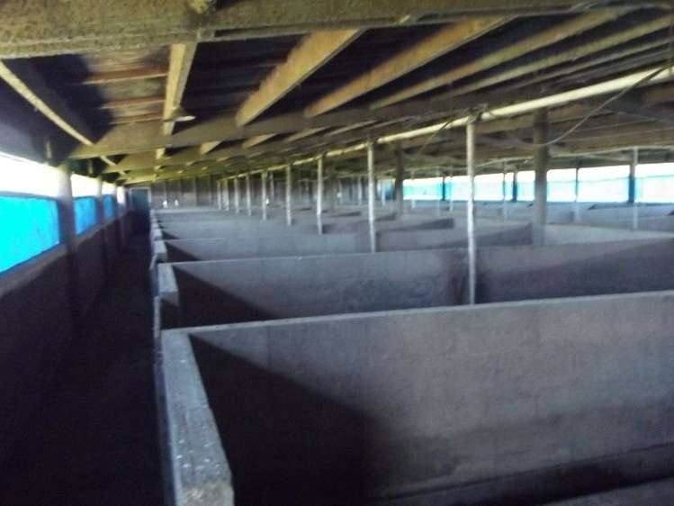 3082 Mountain Road Midhirst_46