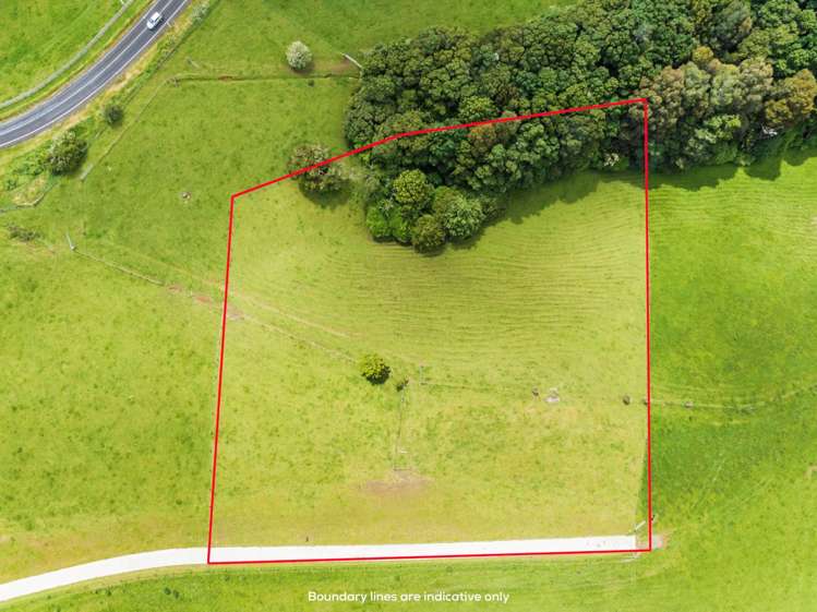 5 Bush Road Paerata_7