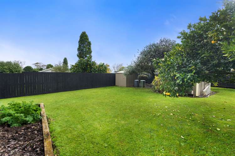 302 Picquet Hill Road Te Awamutu_6