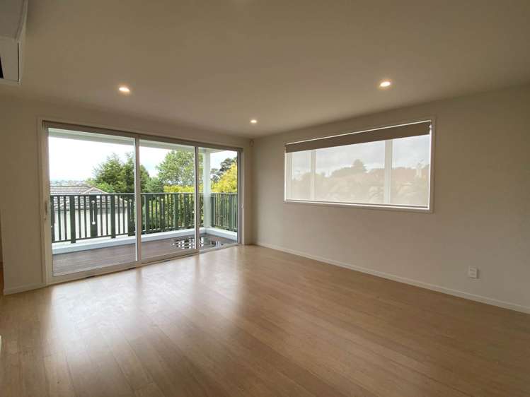 30C Ballin Street Ellerslie_2