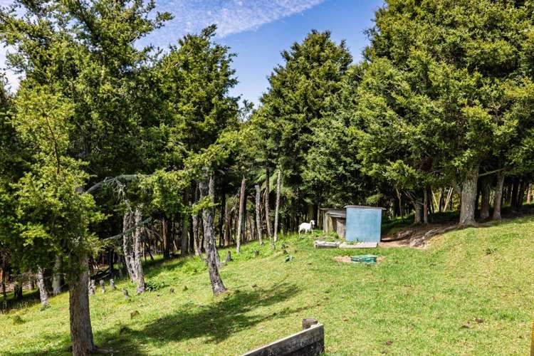 314 Onekura Road Kerikeri_30