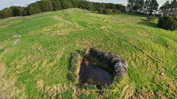 224A Petley Road Paparoa_70