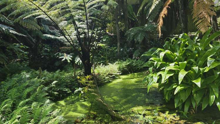 23 Taheke Road Kaikohe_1