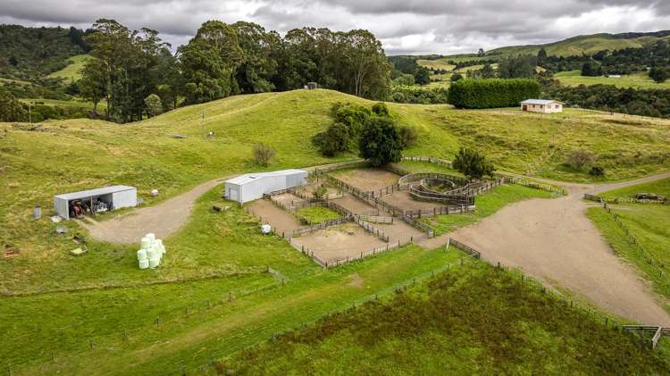 4332 Puketitiri Road Hastings Country_17