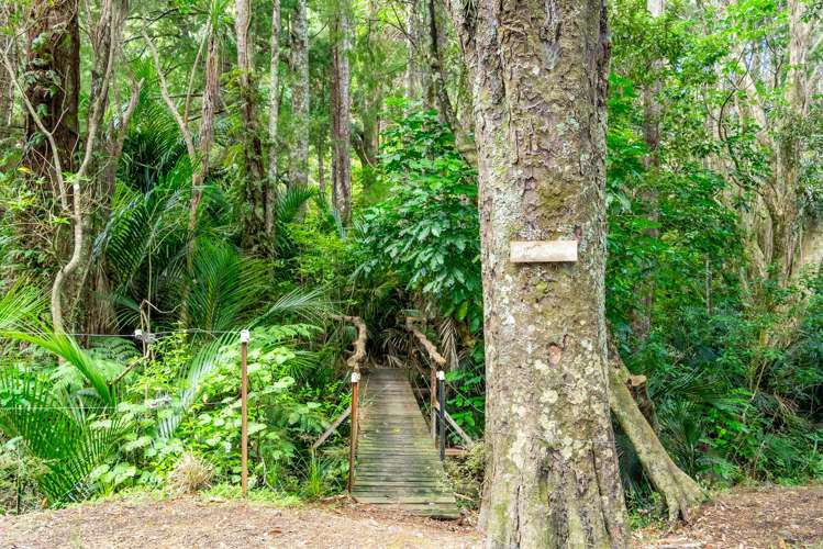 59 Ashton Road & Birdsall Road, Whangateau Leigh_55