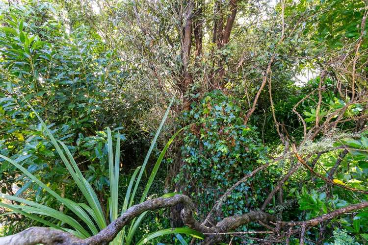 18 Perth Street Ngaio_9