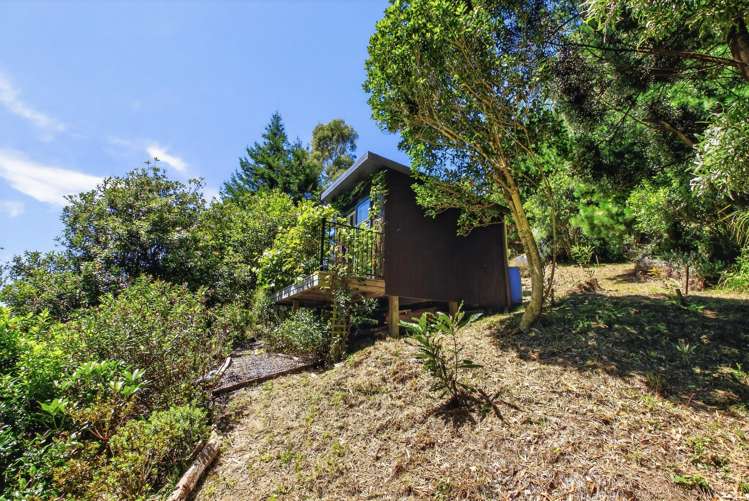 32 Maui Pomare Road Nikau Valley_20