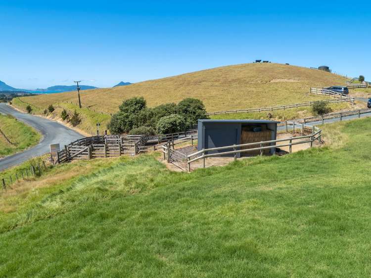 207 Sandford Road Ruakaka_3