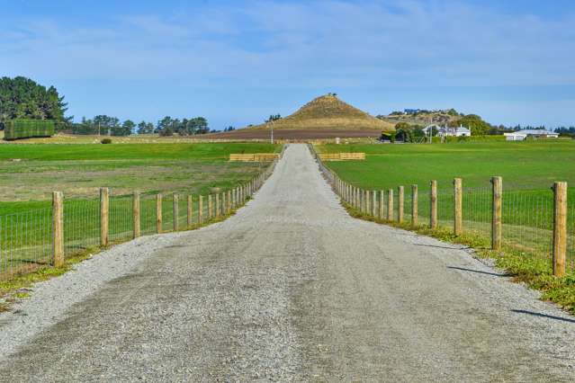 Springfield Road Totara_1