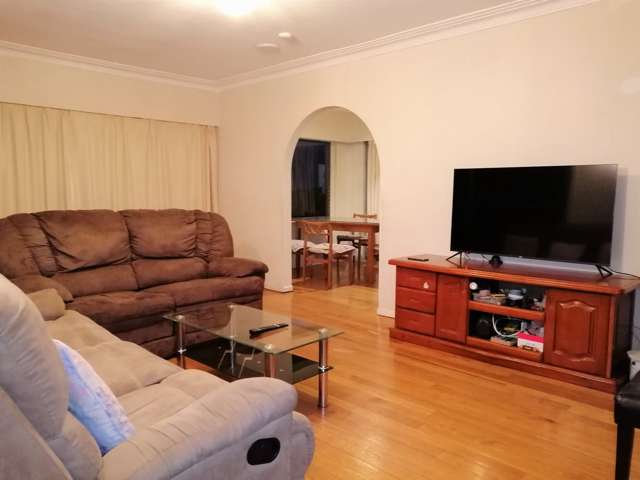 56 Willoughby Avenue Howick_1