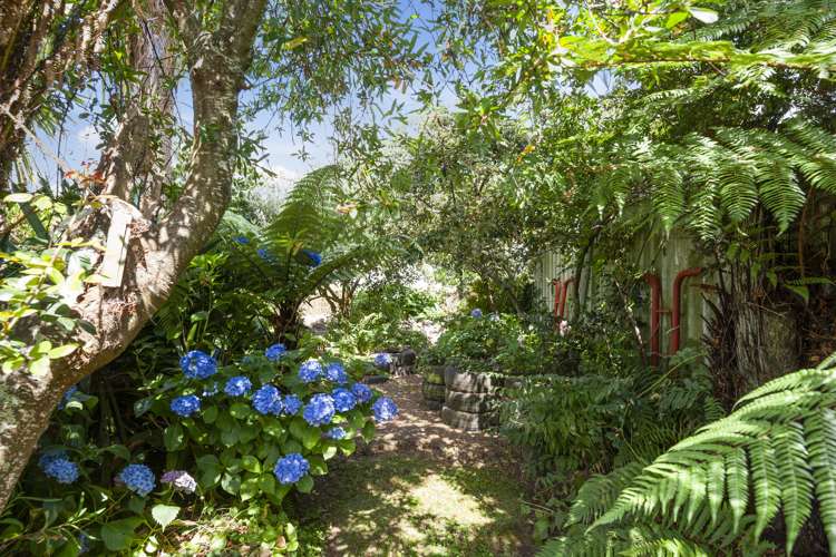 72 Baberton Street Tokoroa_20