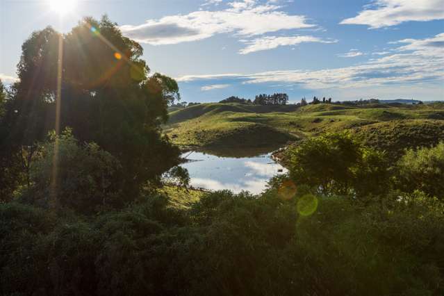 58 Rotowhenua Road Poraiti_2