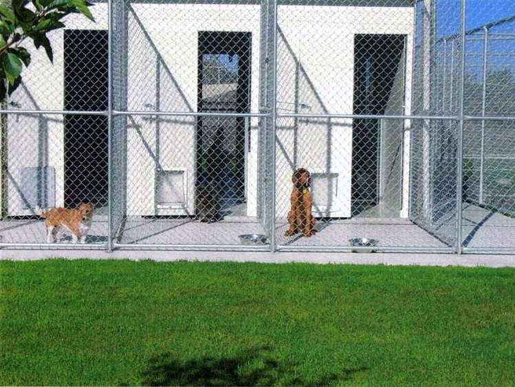 459 Fernside Road Fernside_18