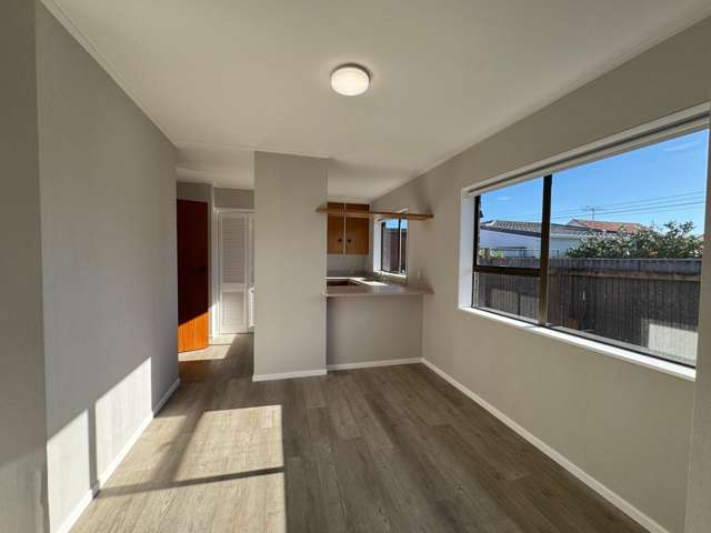  2/145 Tukapa Street Westown_2