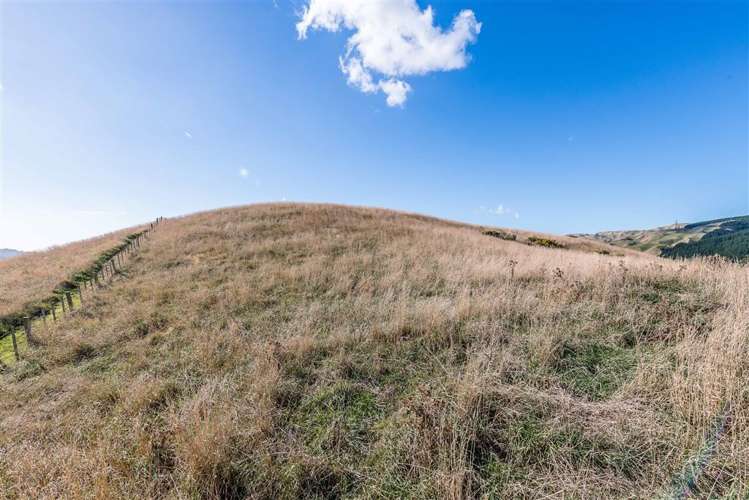 72 Bing Lucas Drive Tawa_10