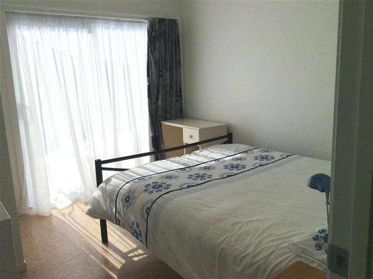 186 Ngaio Drive Matarangi_9