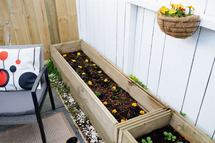 30 Fingall Street South Dunedin_13