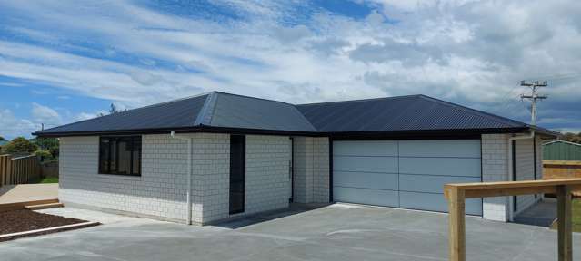 48 Ariel Street Stratford_1