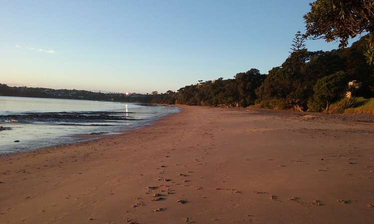 6 Joydon Place Stanmore Bay_27