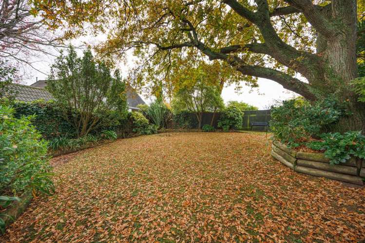 570 Featherston Street Roslyn_34