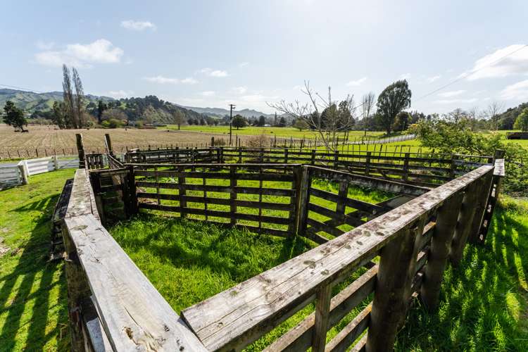 153 Hikumutu Road Taumarunui_24