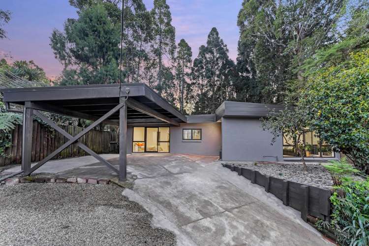 19 Tainui Road Titirangi_33