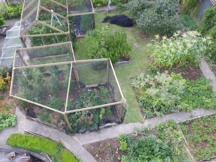 83 Bluff Rangitumau Road Rangitumau_23