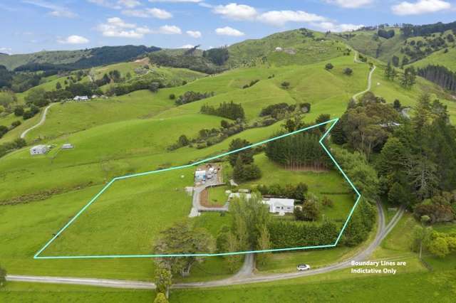 44b Guy Road Kaipara Flats_1