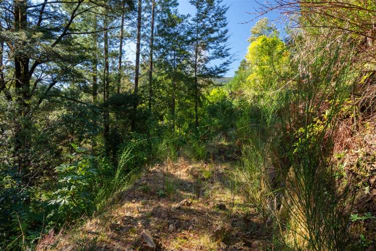 1000 Wakamarina Road Havelock_14