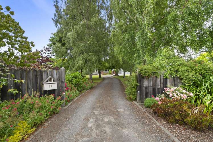 19 Johnson Street Bulls_30