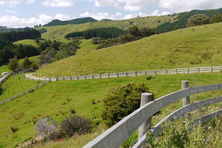 121 Guy Road Kaipara Flats_5