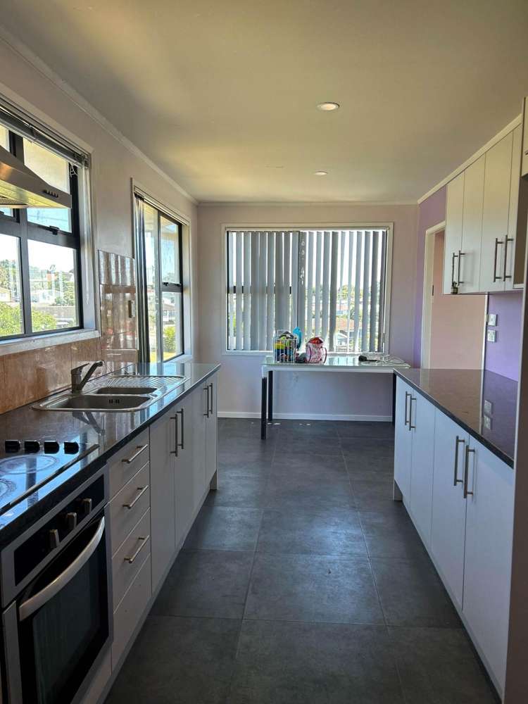 Matthews Road Flat Bush_11