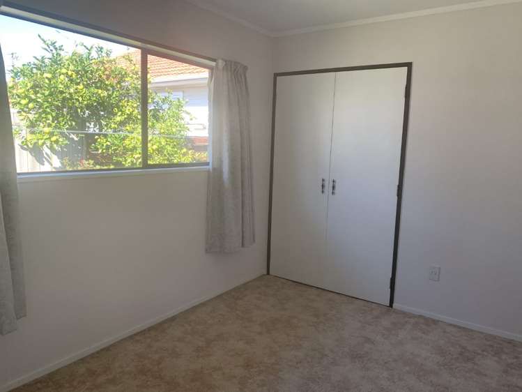 25b Emmett Street Greerton_11