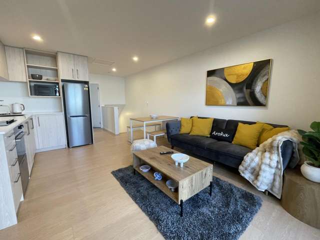 104/75 Ferry Road, Christchurch Central