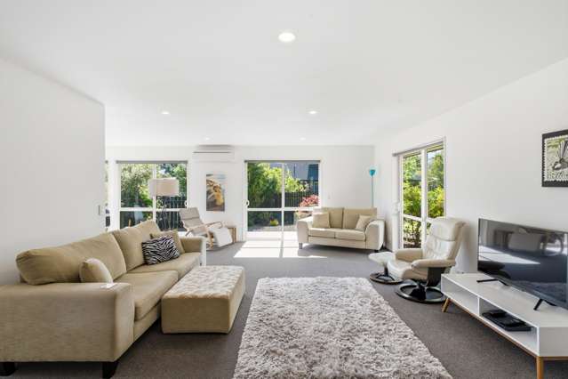 35A Shalamar Drive Cashmere_1