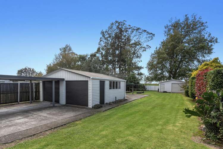 41 College Road Edgecumbe_13