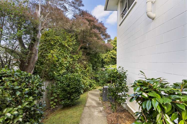 3/15 Trojan Crescent New Lynn_14