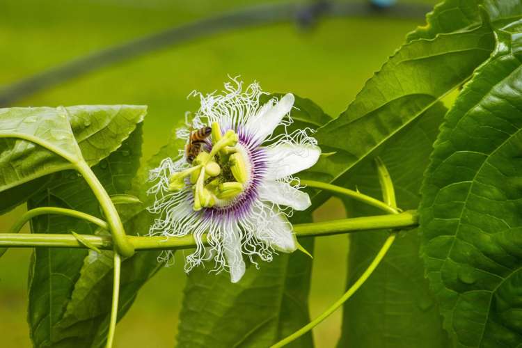 241 Rea Road Hauraki Surrounds_20