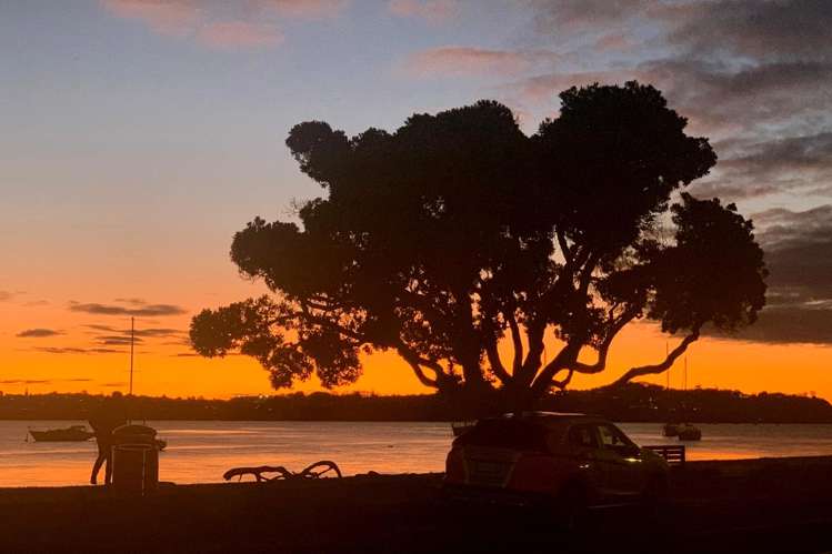 41 - 42 The Parade Bucklands Beach_15