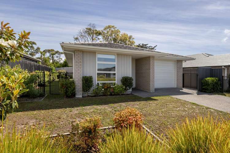 88 Sentinel Avenue Omokoroa_33