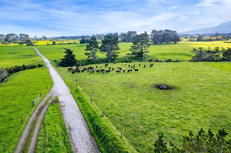 677 Newall Road Newall_4