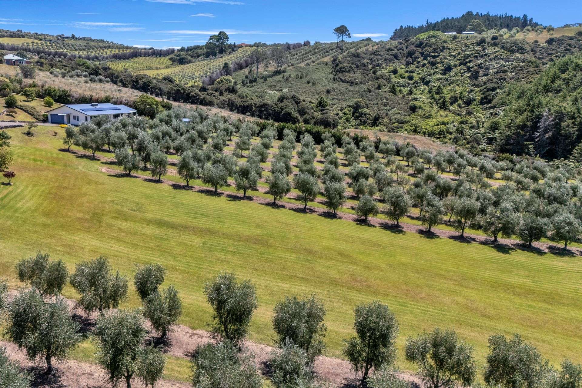 79 Leccino Valley Road Mangonui_0